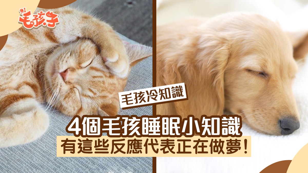 uy8pGuTMTt0as_5CR-dI7rKHKgaW-VFYRsY4T0bGOE8