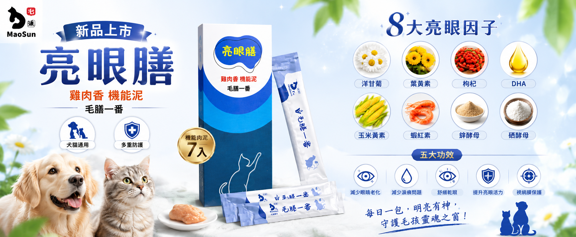  | 毛膳醫生