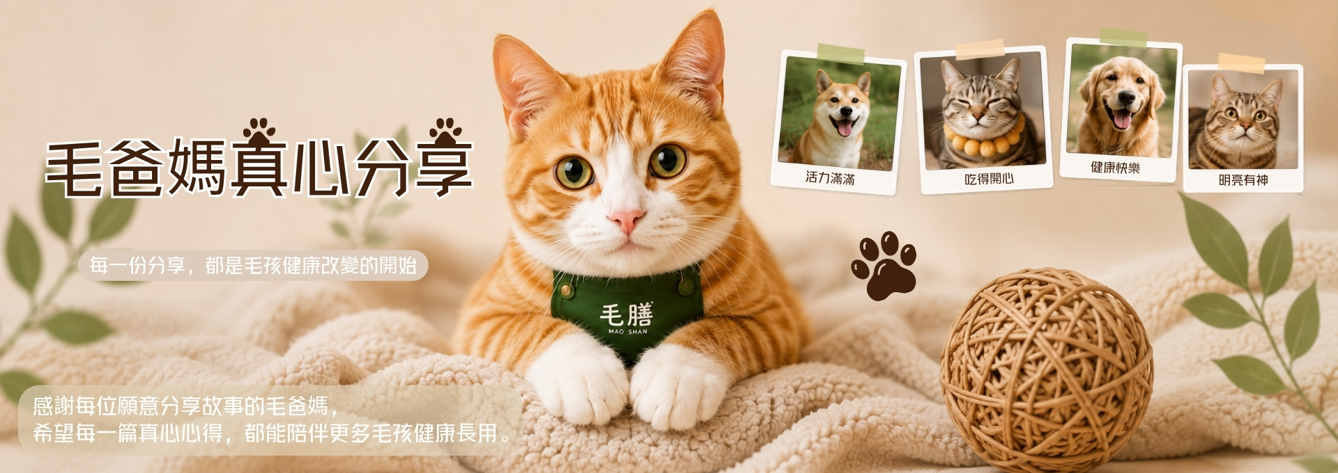 毛爸媽真心分享1