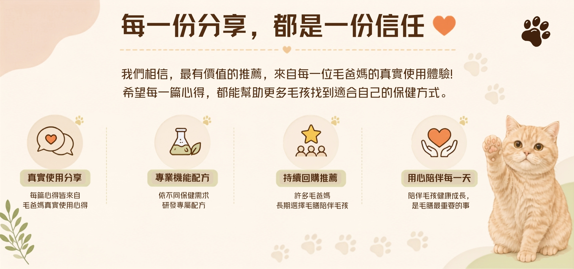 毛爸媽真心分享3