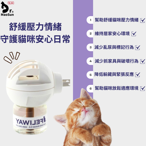 官網-經典插電組1