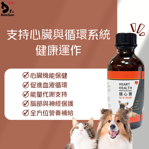官網-膳心寶1