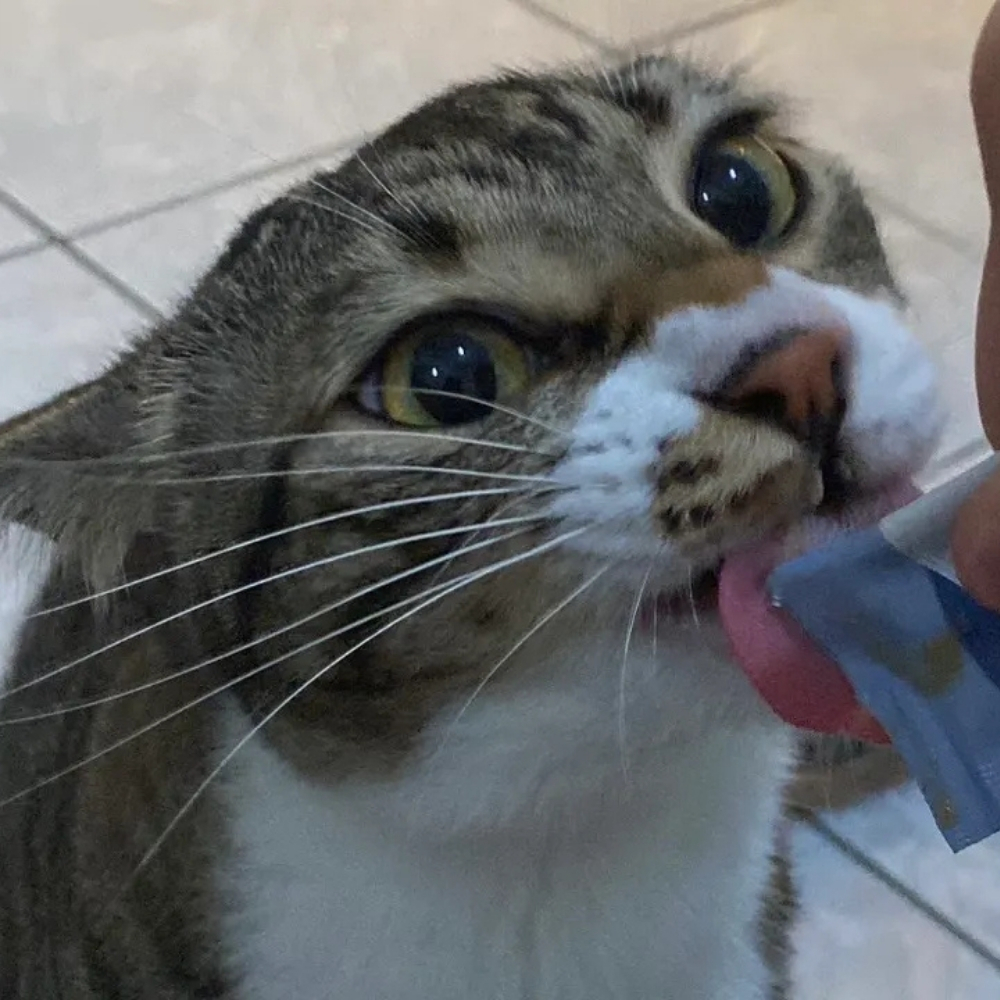 OLI