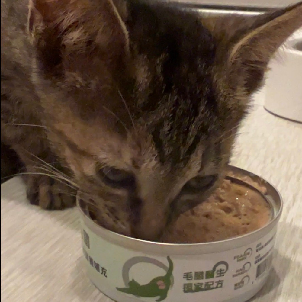 奶茶