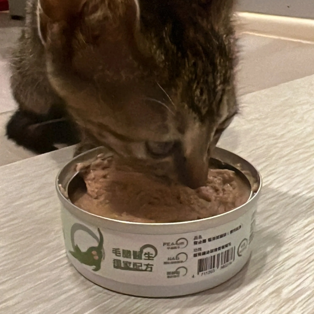 奶茶