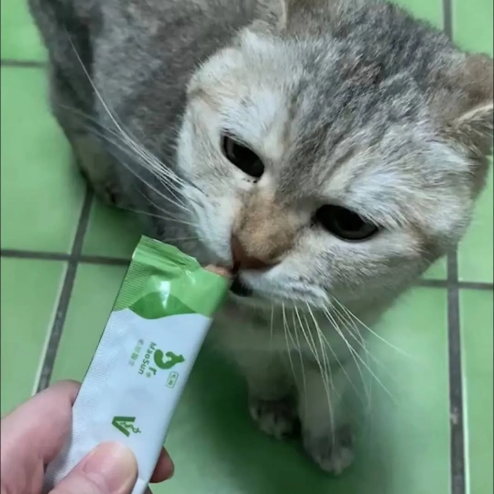 曾小姐