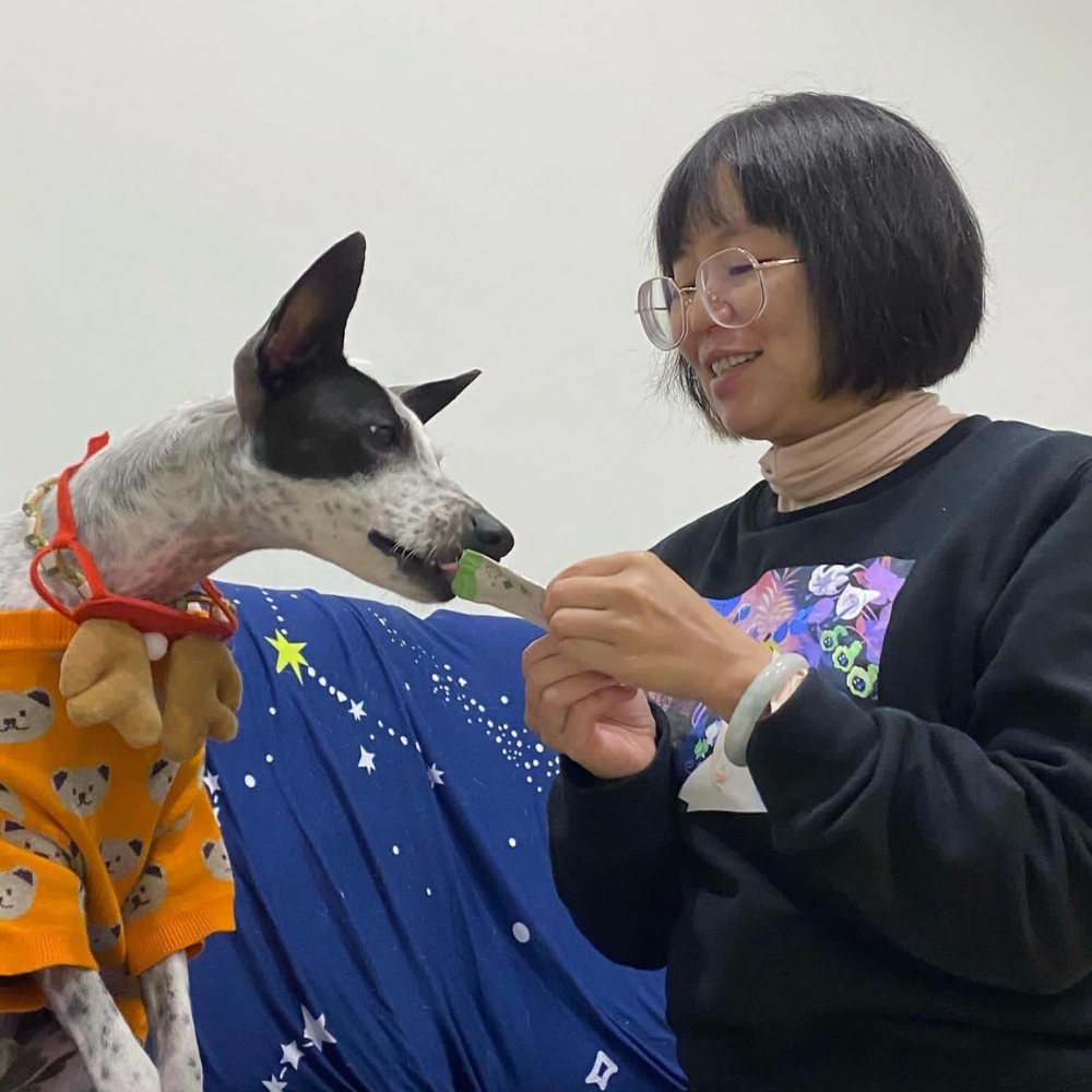米漿