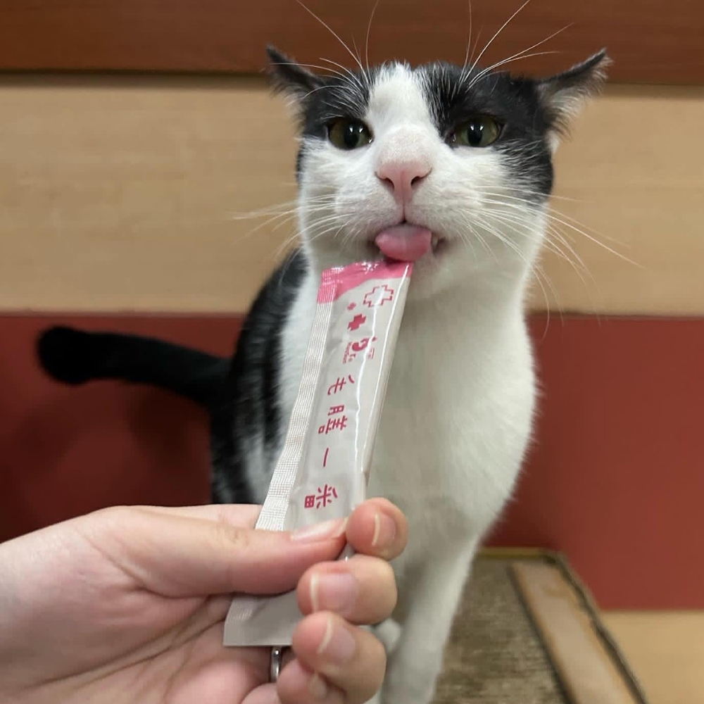 Oreo