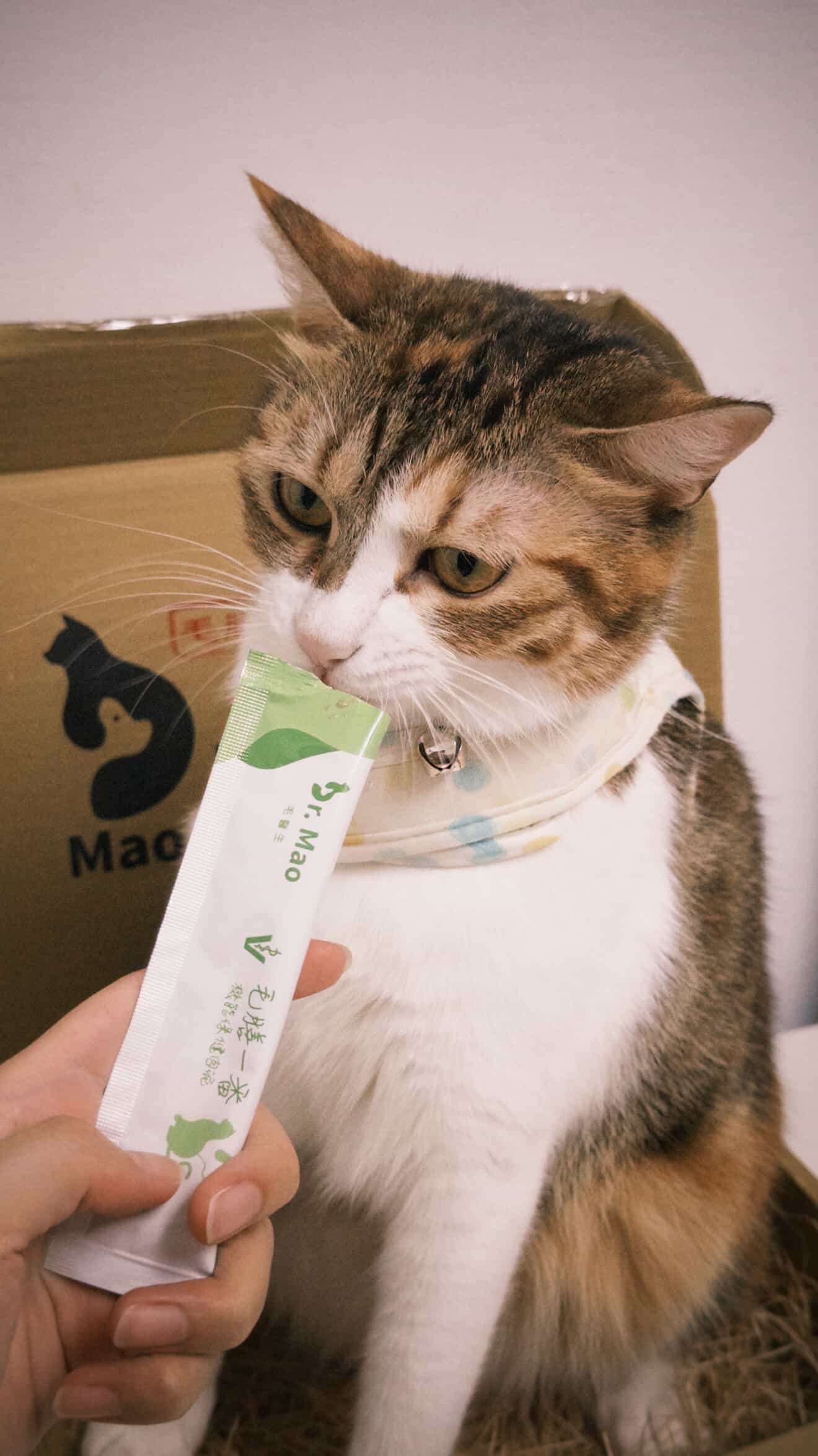 575202963_779735115094739_7145125525324098148_n