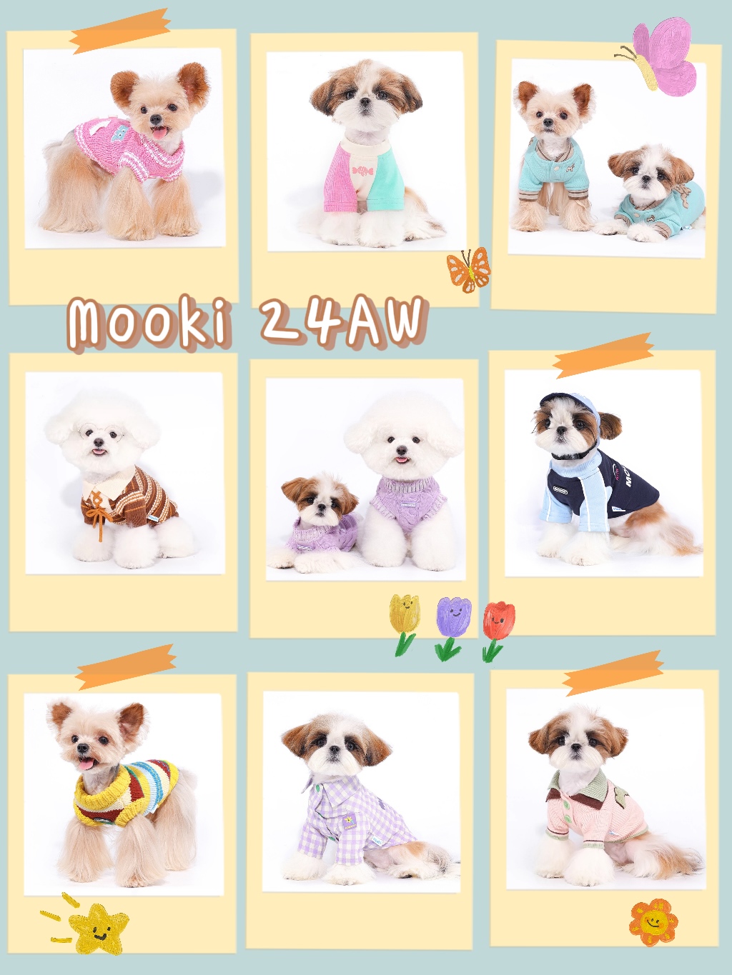 Mooki Pet 24AW | MoDi 毛主憶