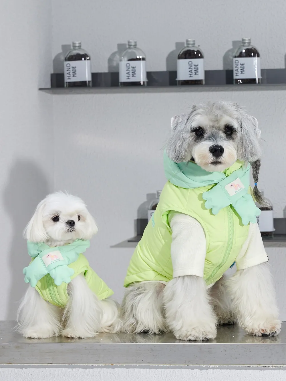 Cozy Days, Fluffy Hugs | MoDi 毛主憶