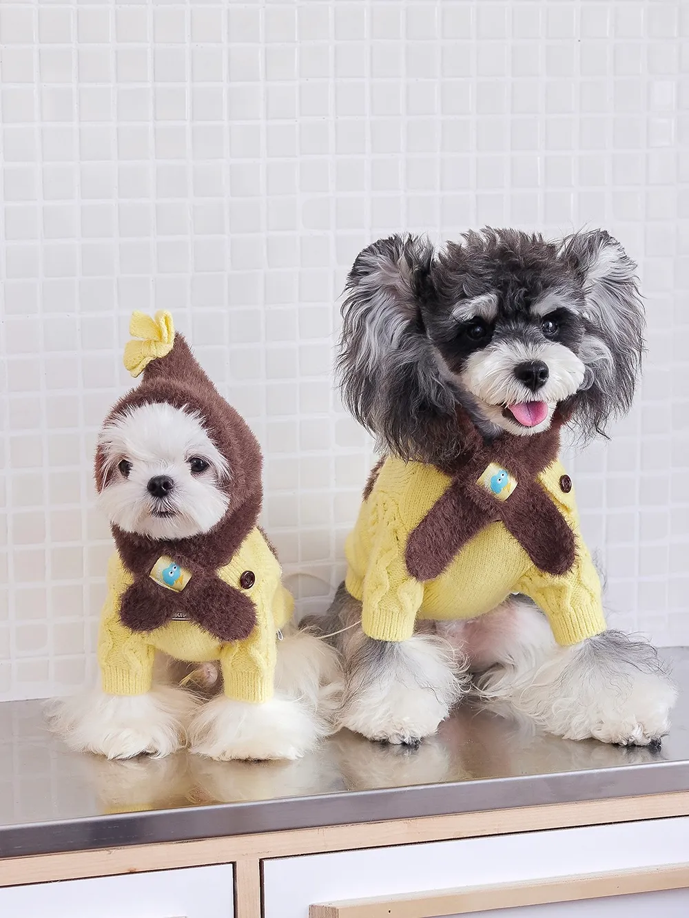 Winter hugs, furry smiles | MoDi 毛主憶