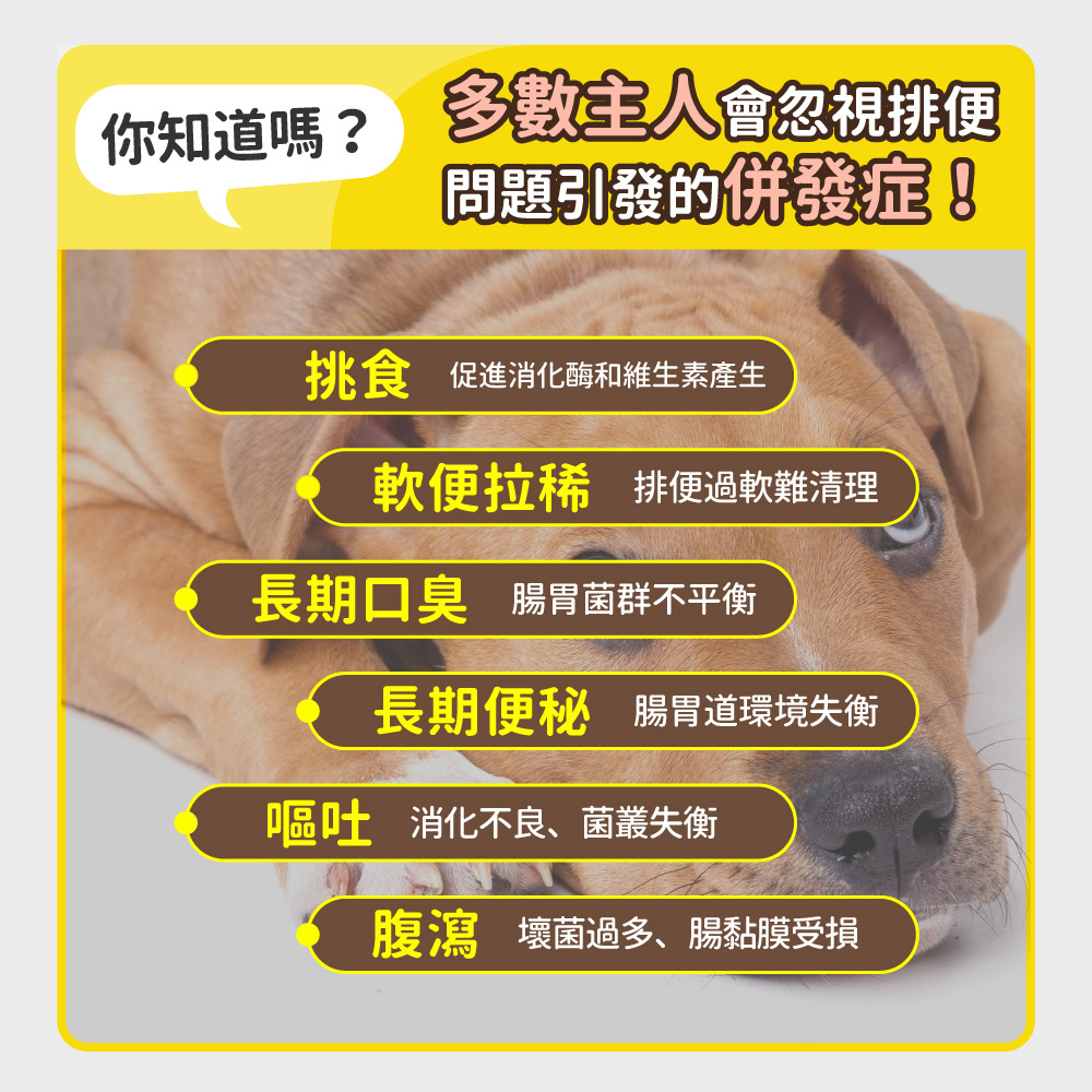 2_4