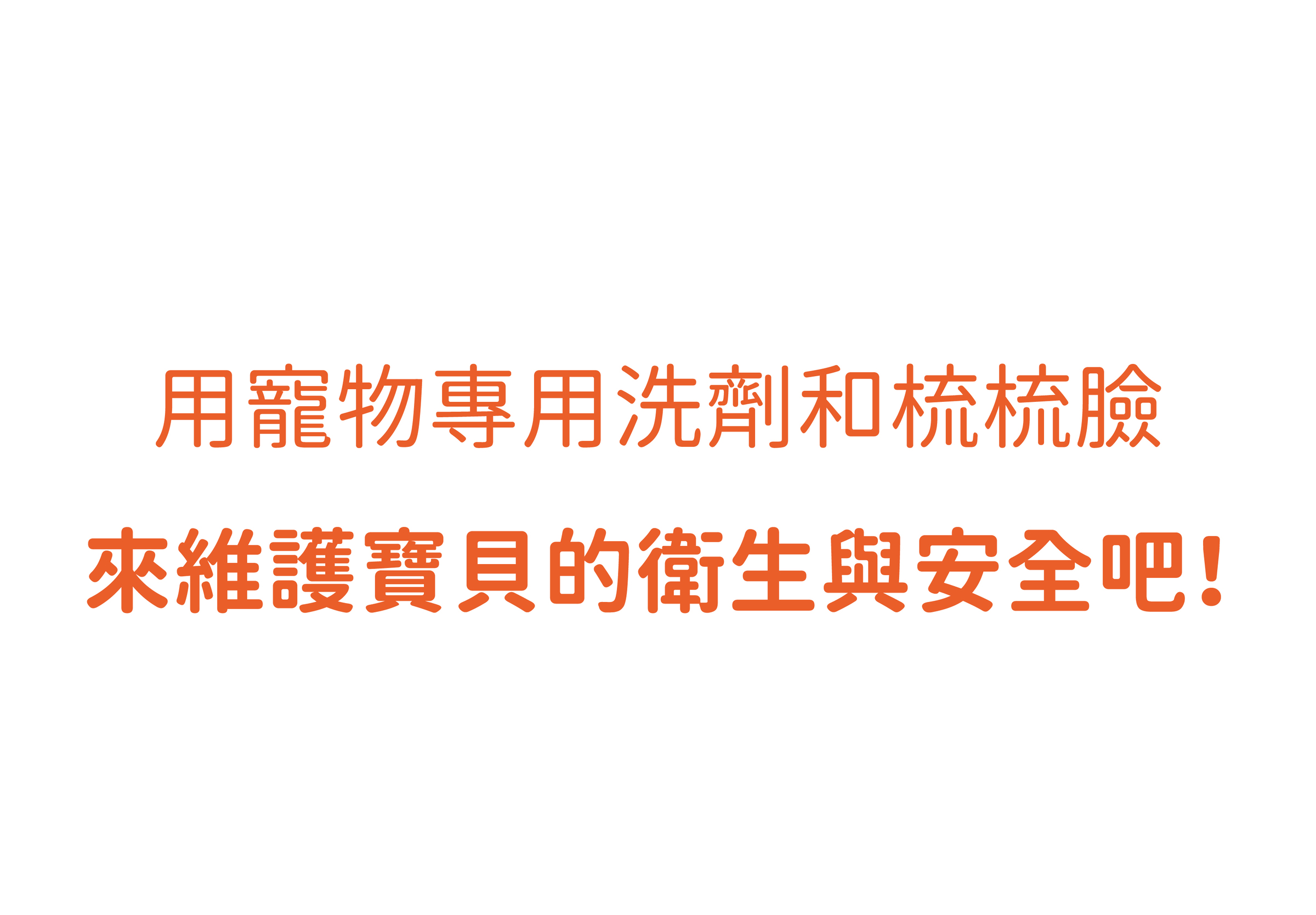 梳梳臉-02