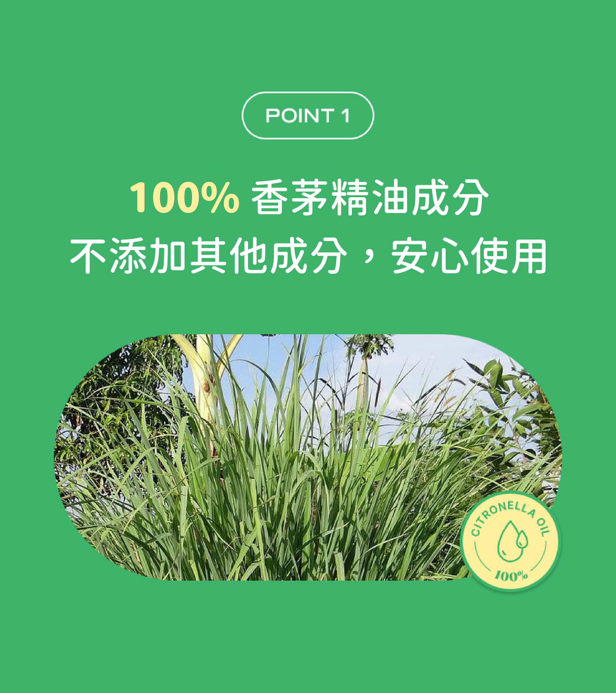熊熊防蚊貼片-04