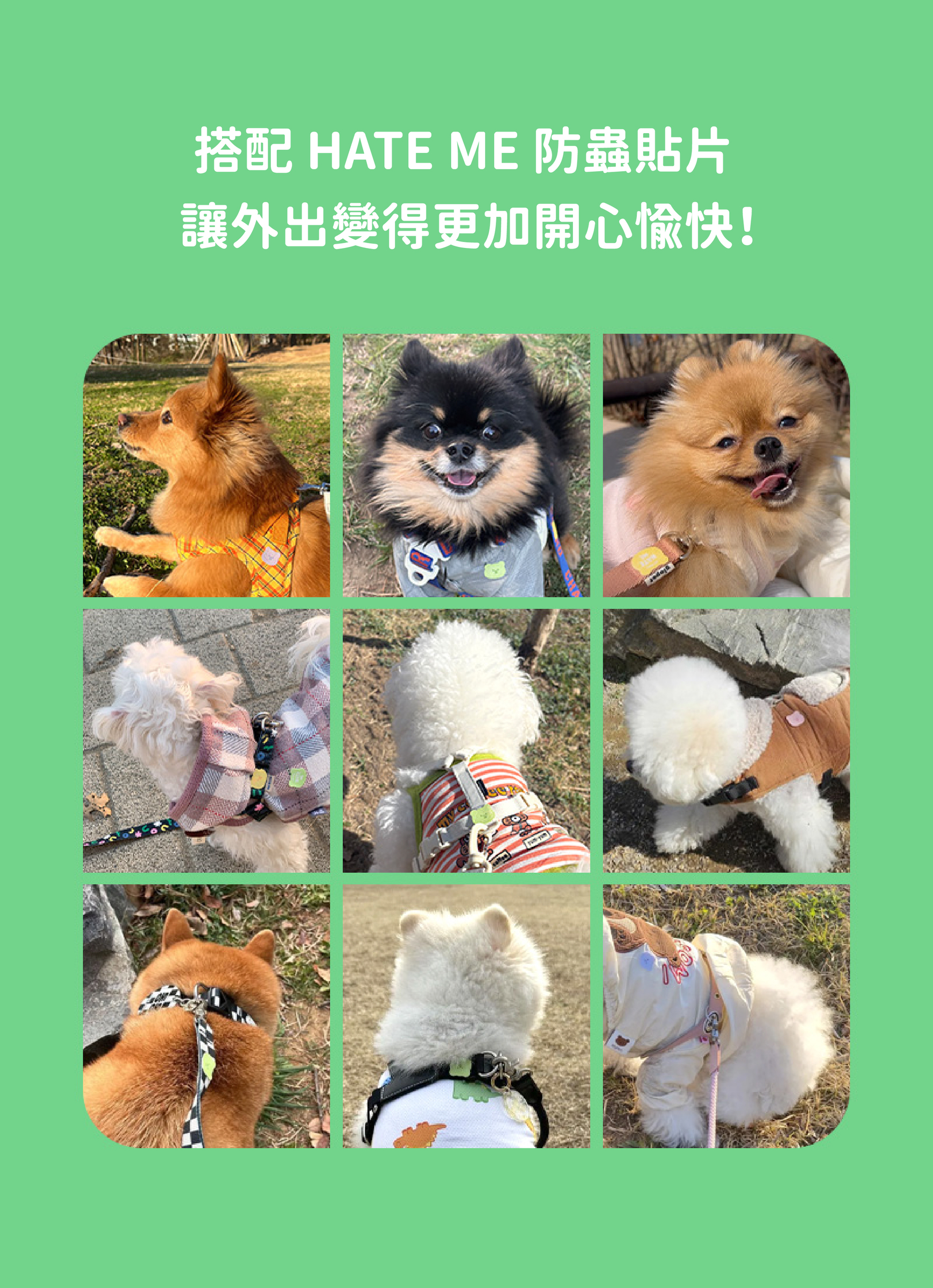 熊熊防蚊貼片-02