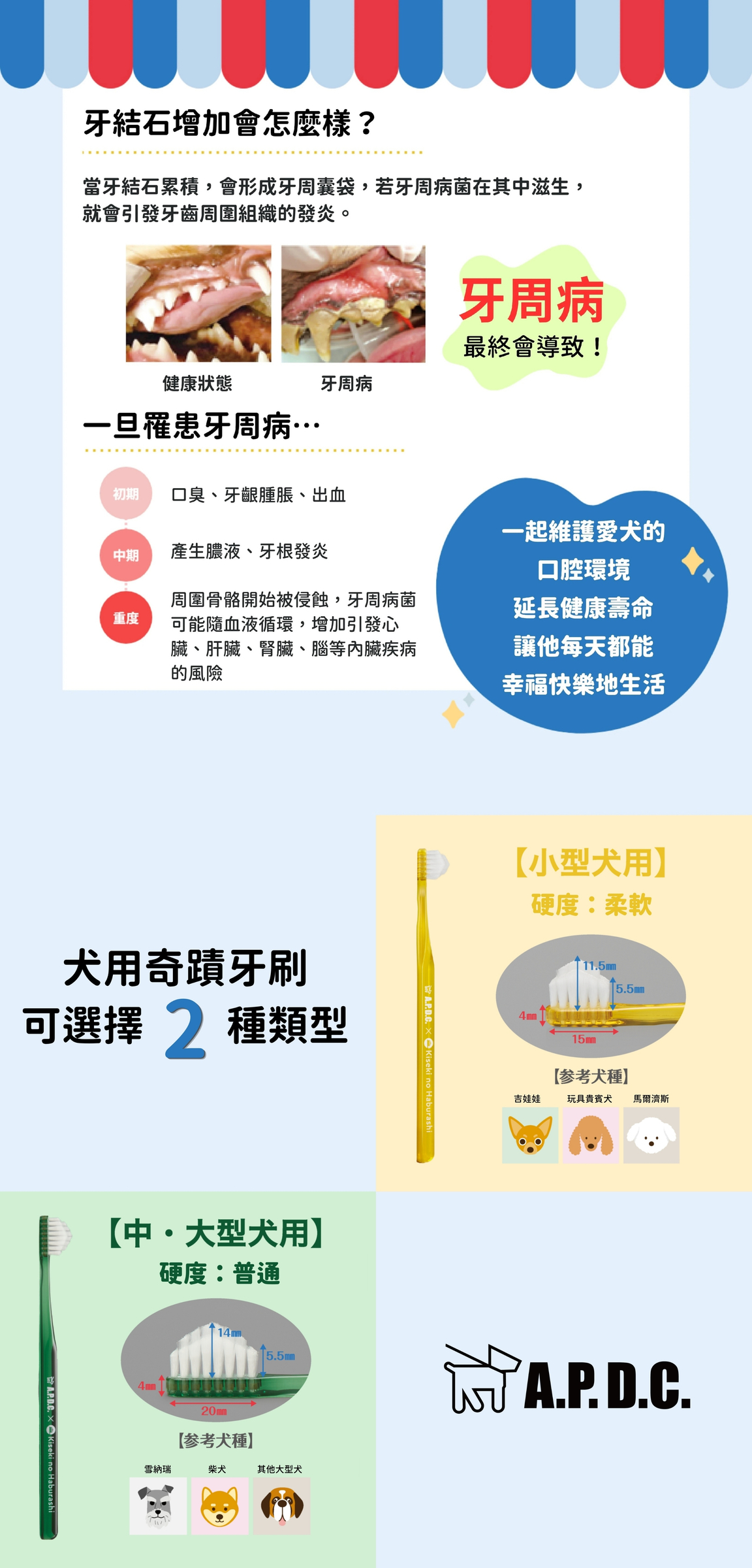 奇蹟牙刷(小型犬)-03