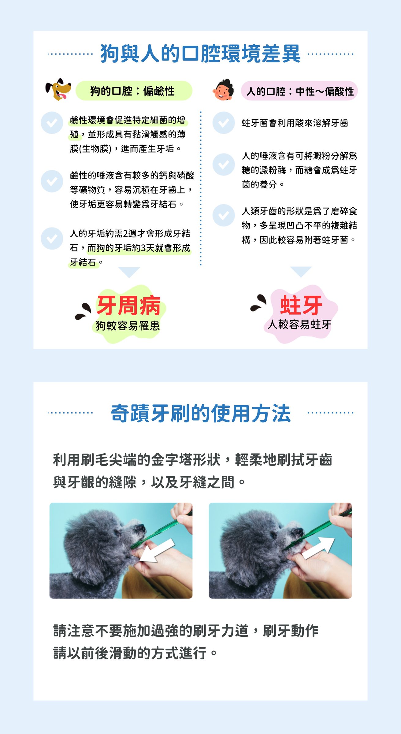 奇蹟牙刷(小型犬)_02
