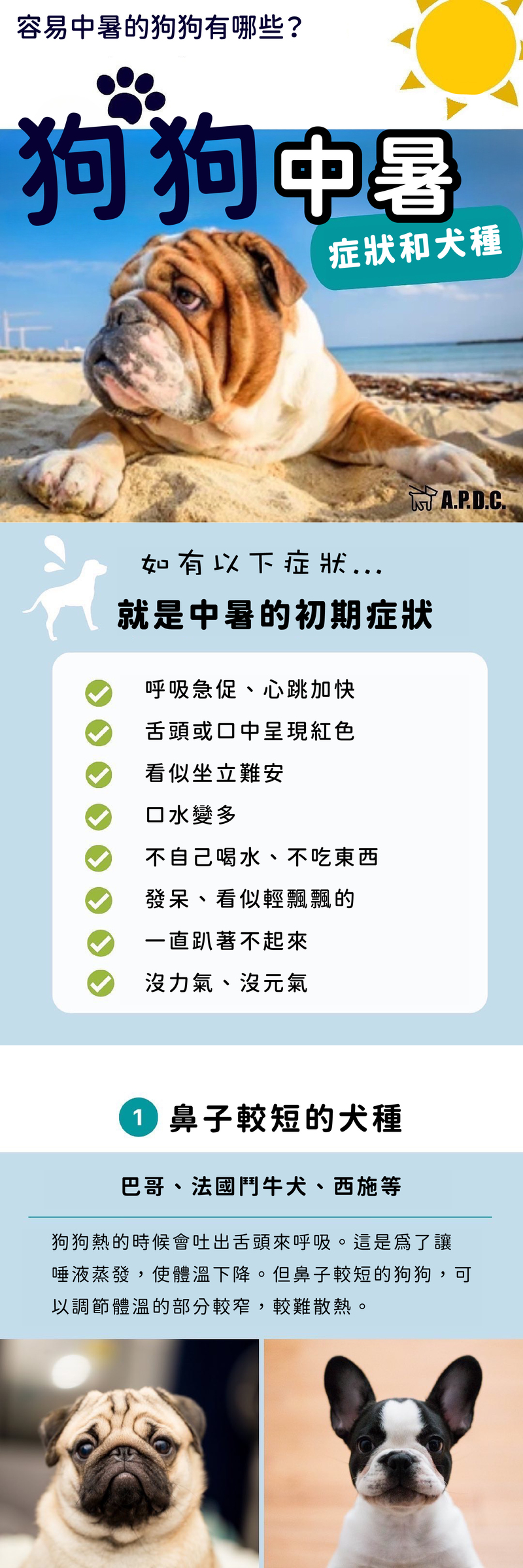 酷涼-01