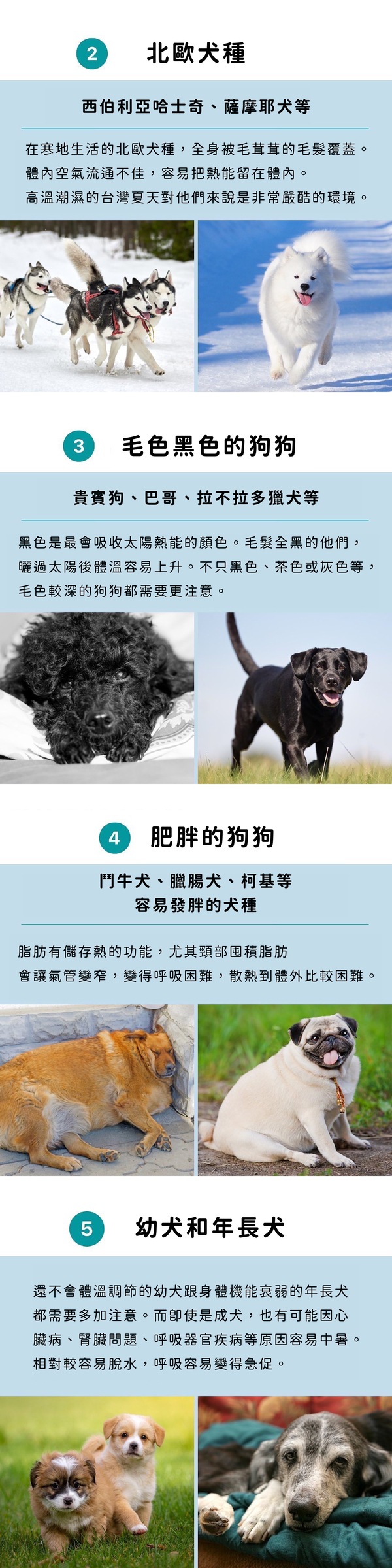 酷涼-02