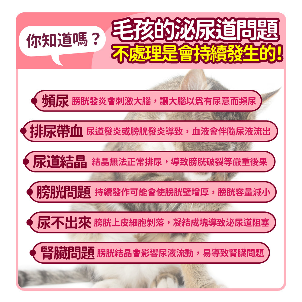 4_4