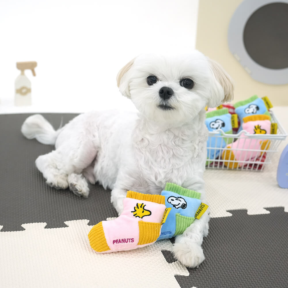 P-106.PEANUTS-75th-SOCKS-TOY_首圖