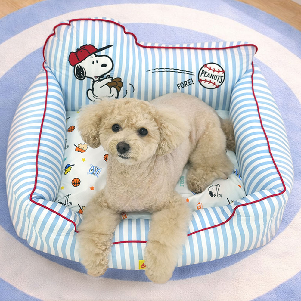P-170.PEANUTS-VARSITY-SPORTS-COOL-BED-首圖