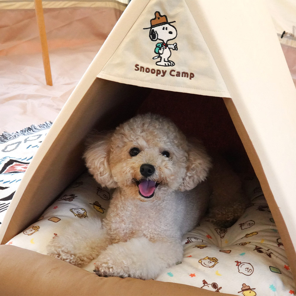 P-48.-PEANUTS-SCOUT-CAMP-HOUSE-1