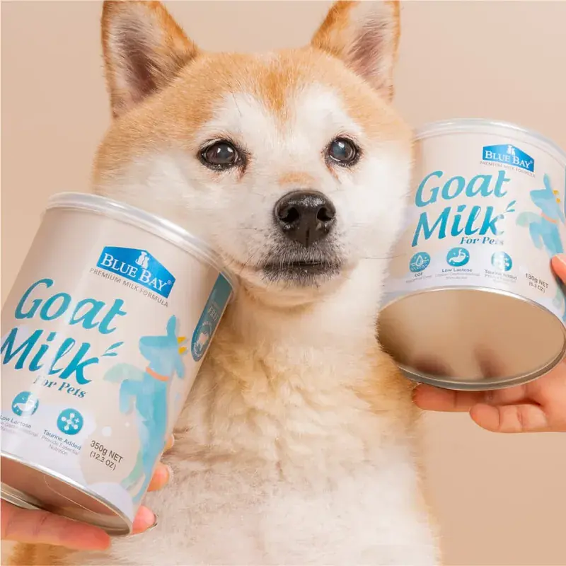800x (2)