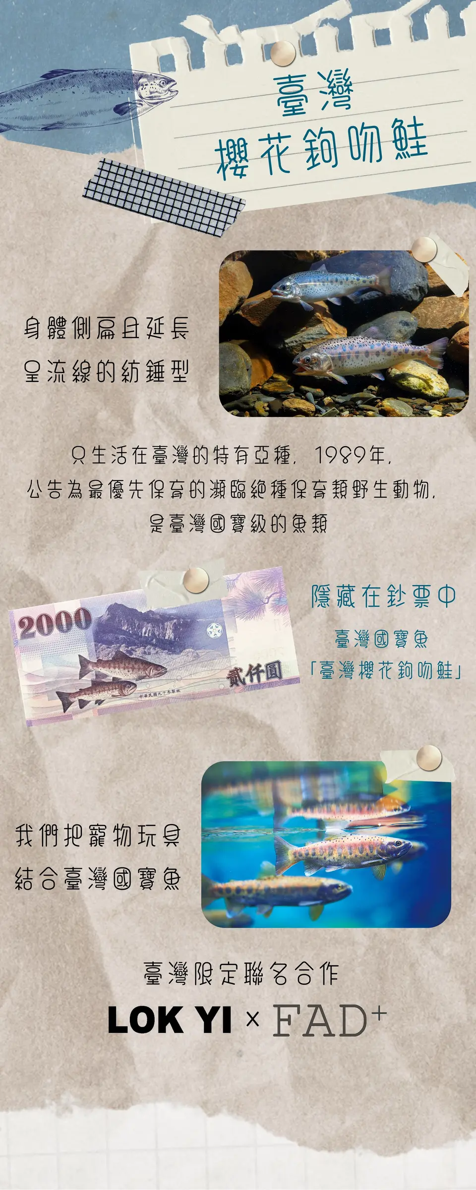 image_0A6F1A25-619D-4CBC-AFBB-B1B15E55F1B8_1790209265