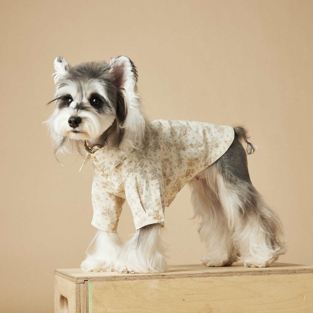image_86AEB070-1433-4648-9674-B77A05FD0651_1742442868