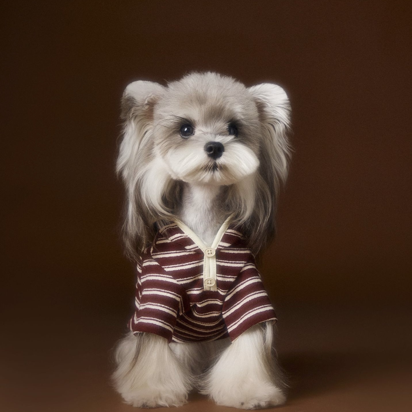 image_278586DC-C9E2-476F-822A-49AF0089BE0F_1762534947