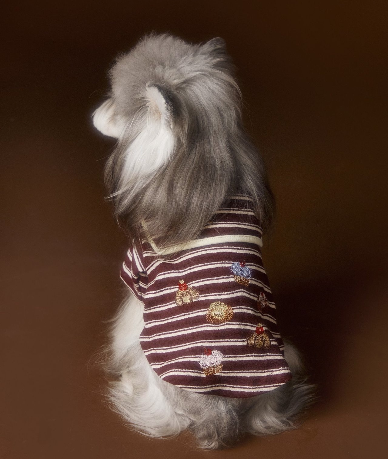 image_239DA529-F8A6-49AC-B50C-6BA701229ADB_1762534948