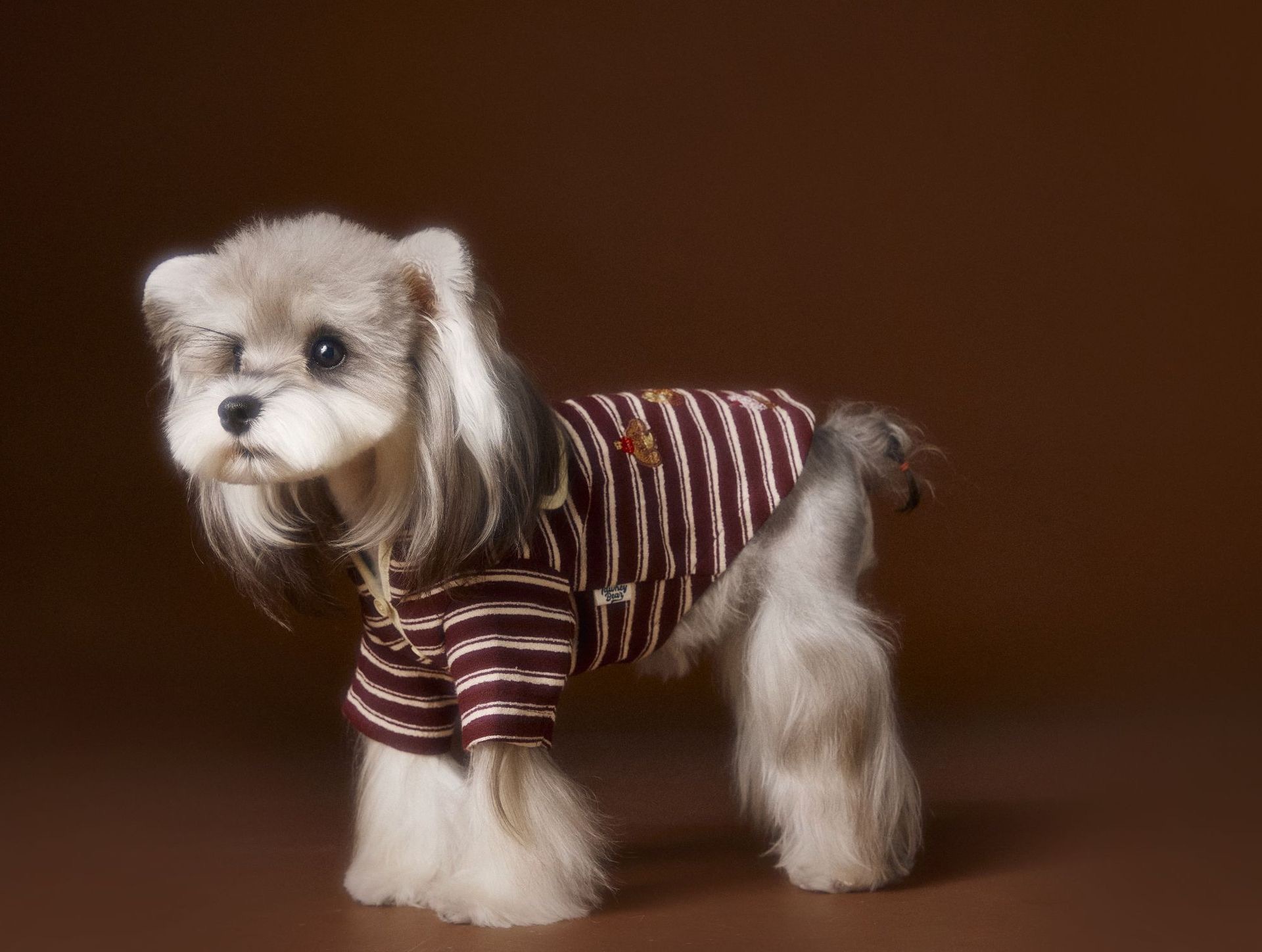 image_57091D81-E32E-4582-9DE7-1759BD616E63_1762534948