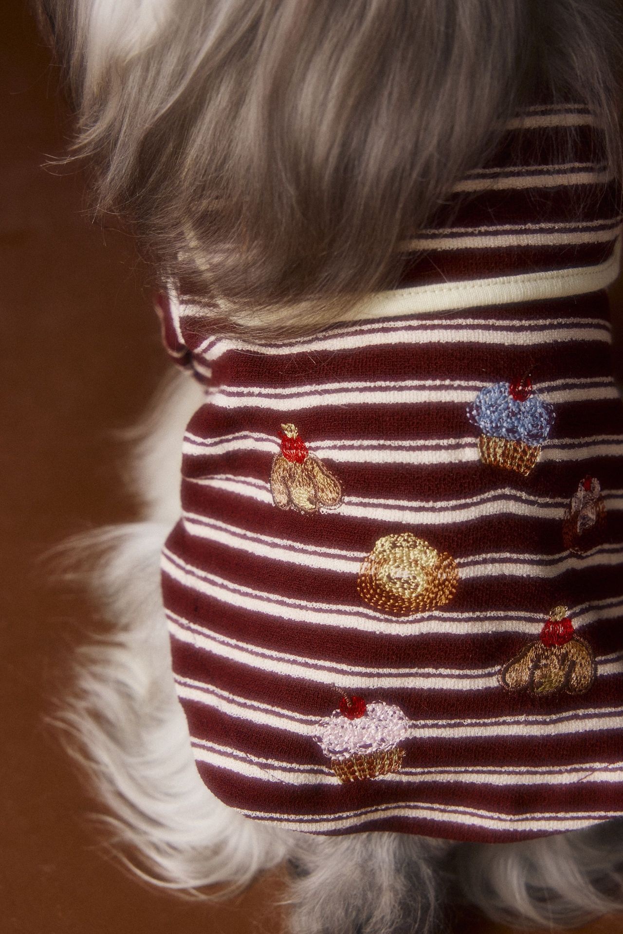 image_52ED8701-3110-4DD7-A635-BC06C0693428_1762534948