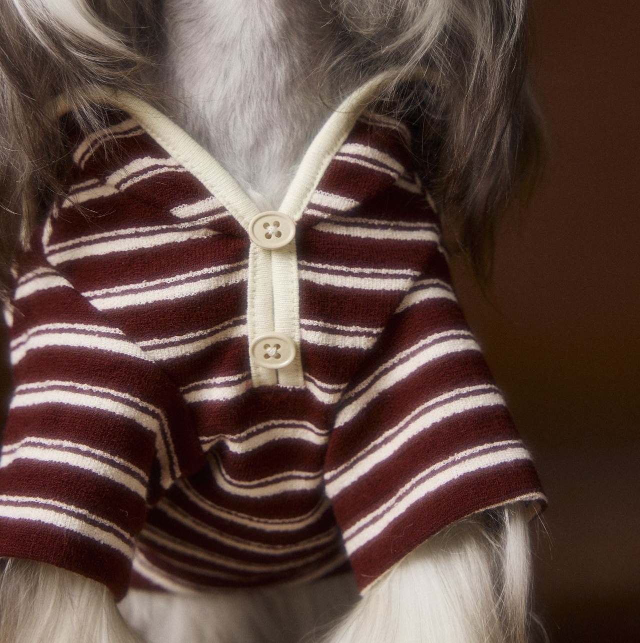 image_20058807-3D56-432C-9F4A-93F88EA83469_1762534948