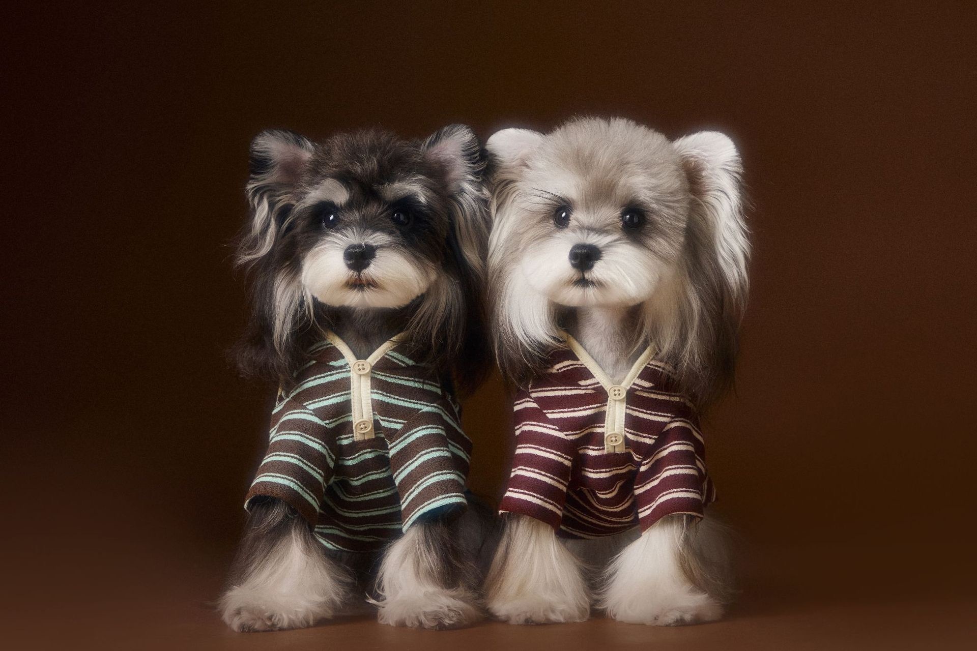 image_AC1C57B7-A13D-4998-B002-6E1A45249087_1762534947