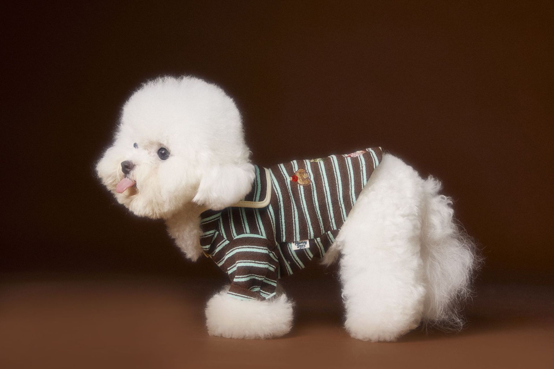 image_73D5C1B1-8C2B-4027-8699-501F18FBEAAC_1762536131