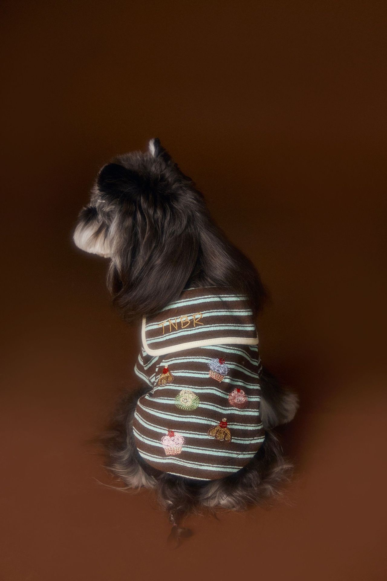 image_ADC4083B-3376-4831-B048-6AA1D8783CFC_1762536131