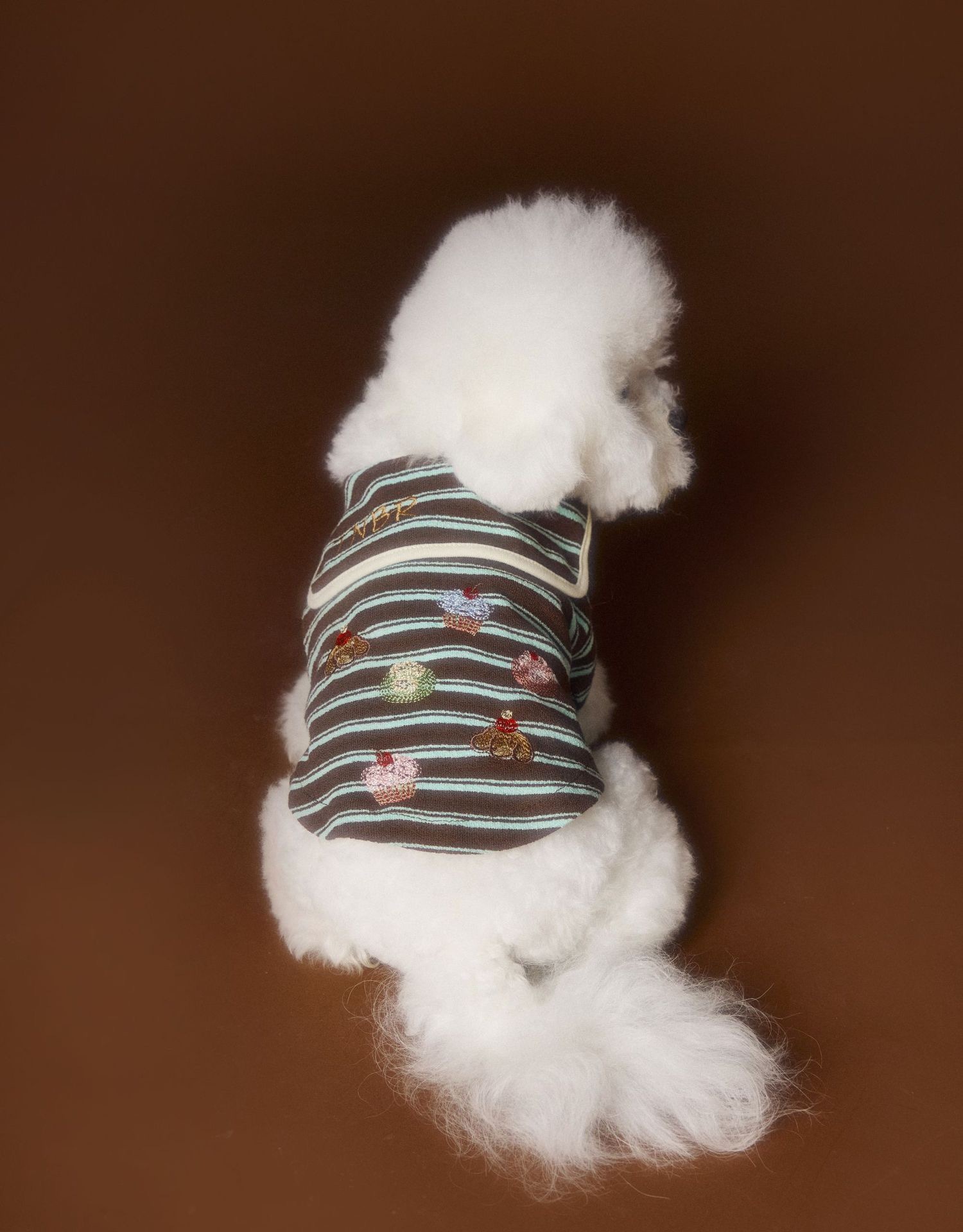 image_AFBCF8FF-879C-4113-95CC-35DFF945B3C8_1762536131