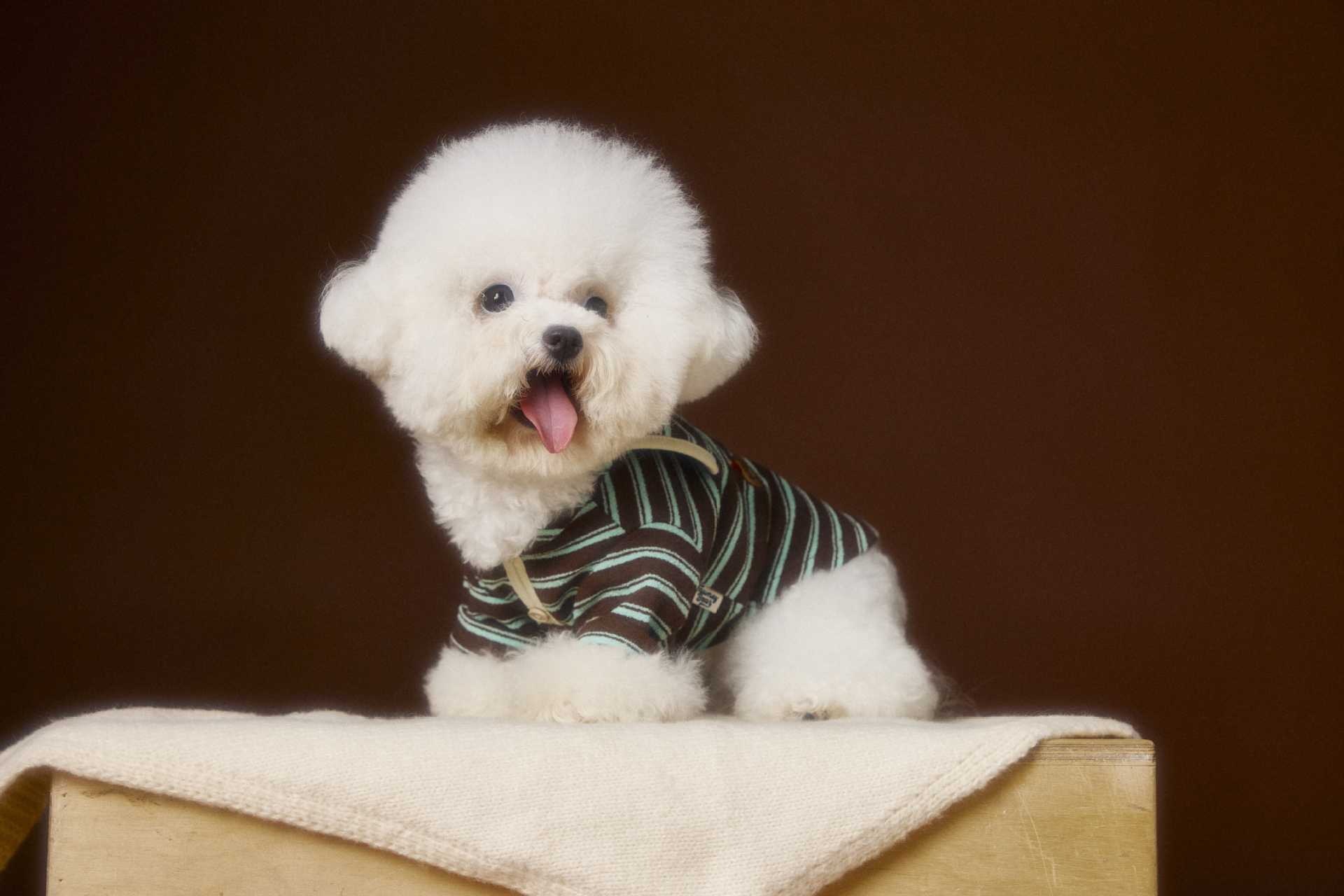 image_696AB9F0-70AF-4A3E-9A99-3A31A8BEB3E0_1762536131