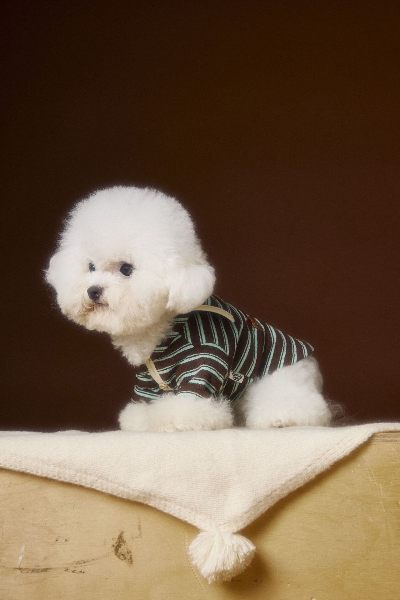 image_050A6906-D092-4BCB-97AC-7A9B9F2DC1EA_1762536131