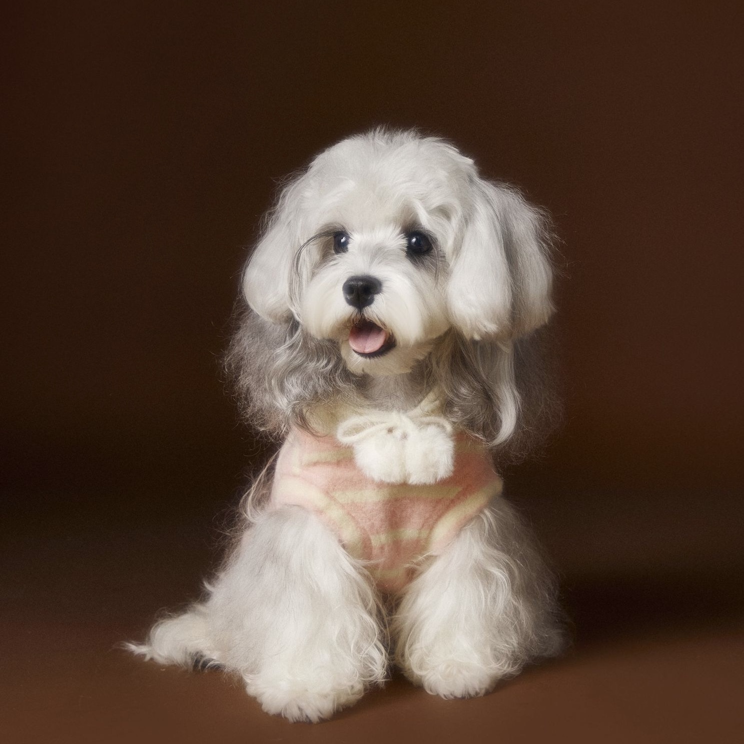 image_1F57241D-D611-4805-B957-F643CE05E43C_1762617942