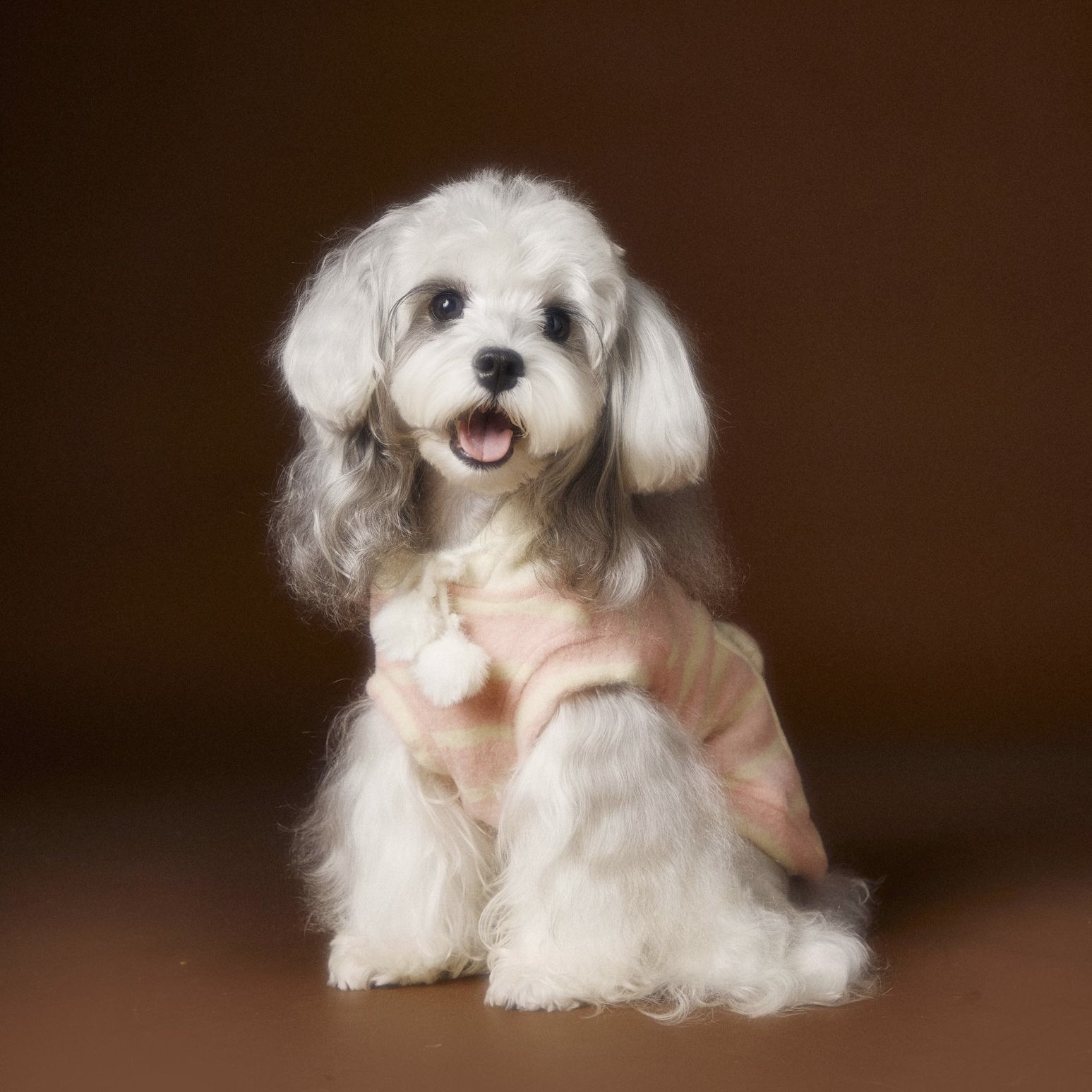 image_01307D72-28E8-43ED-A12D-62733FC5EFA5_1762617942