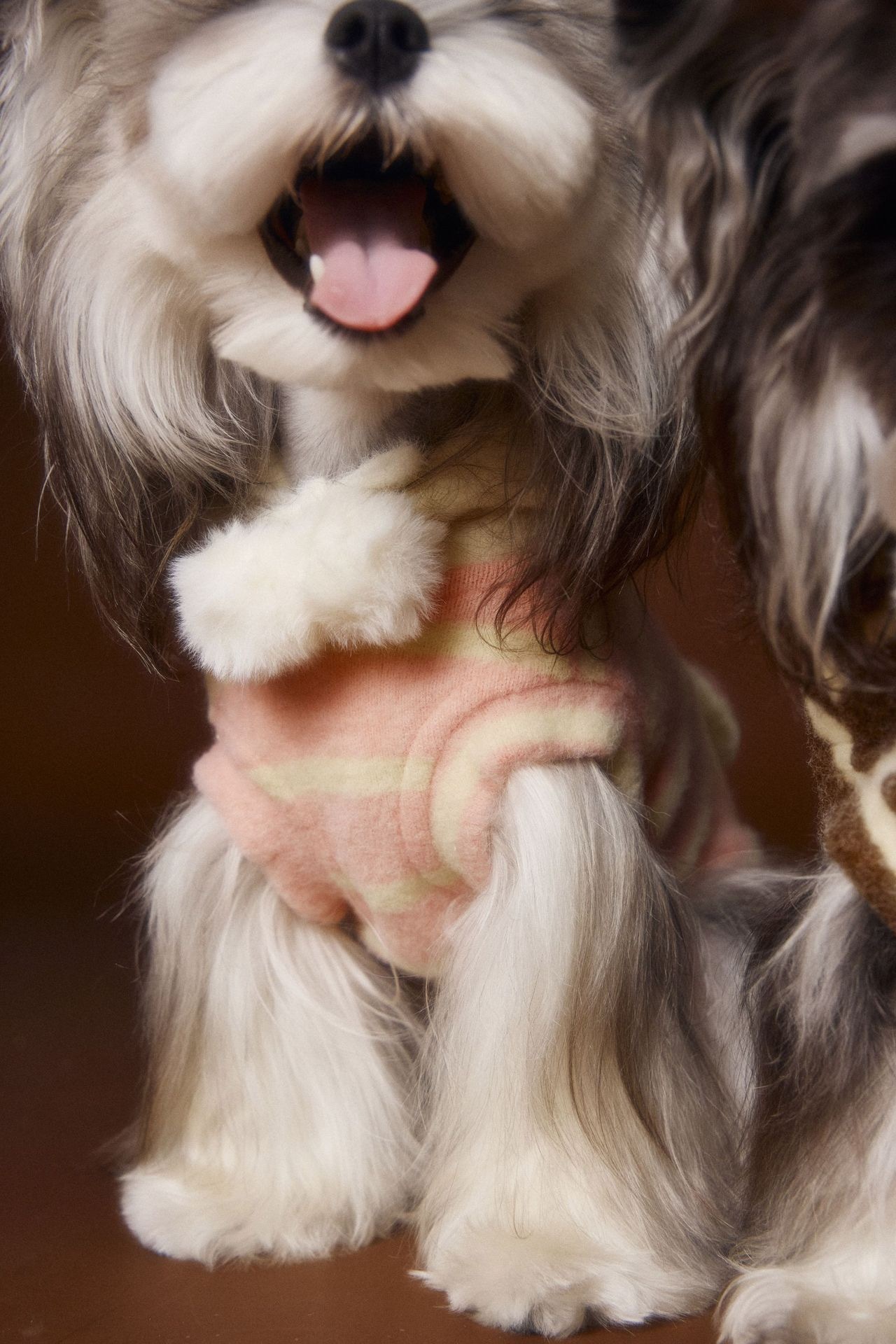 image_9E7D3F81-F591-4174-B7C4-24BFFF5D51EA_1762617942