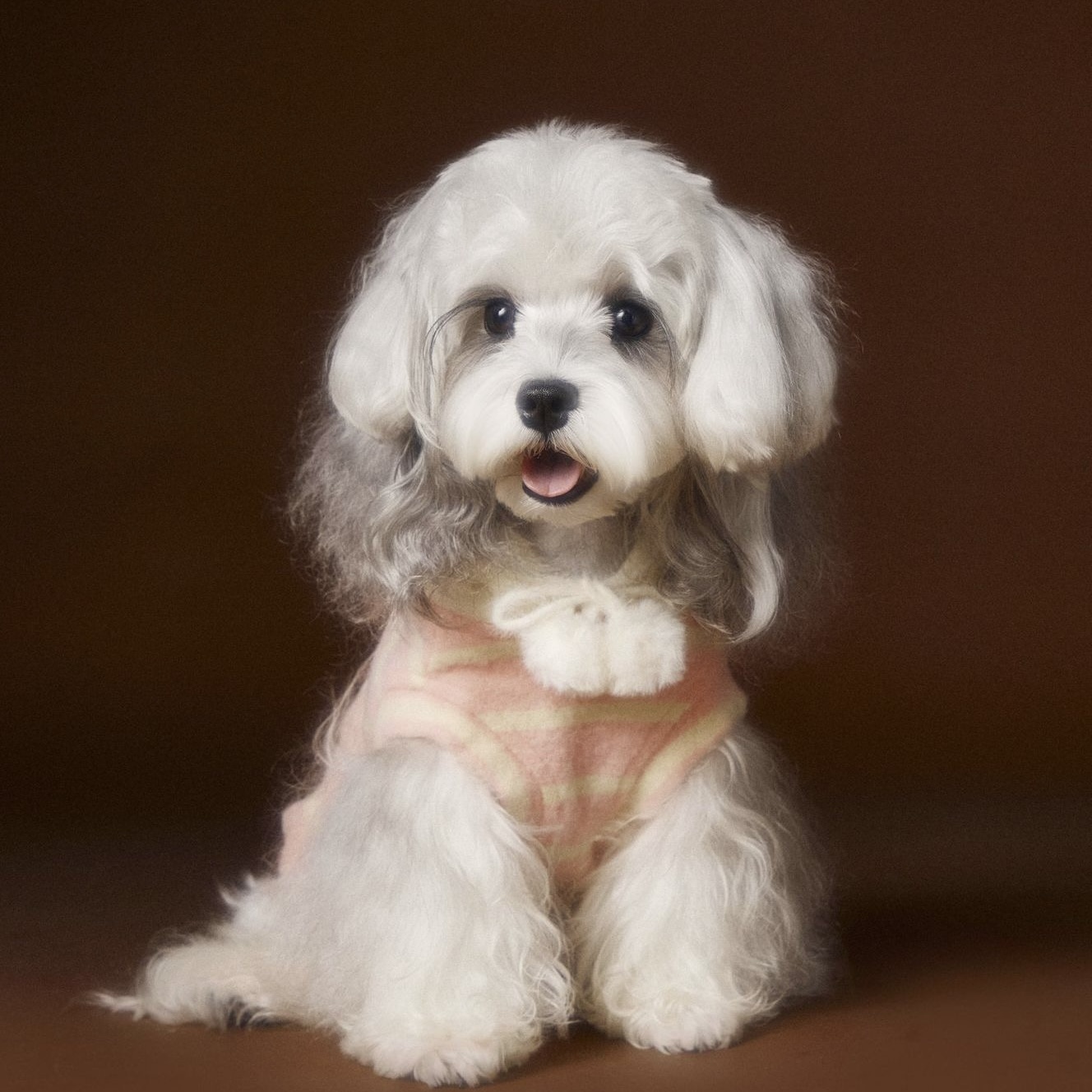 image_1C9D601D-0450-4B10-ADFD-BC27BE0574FA_1762617942