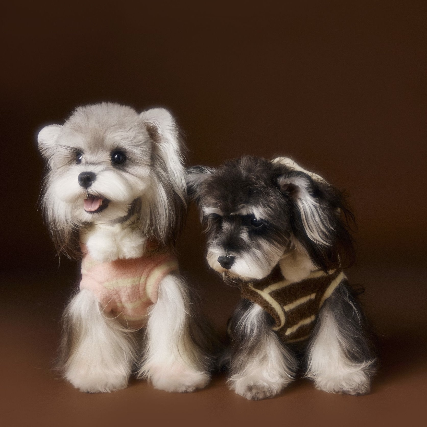 image_0377E9C9-36AB-48C7-A36D-80EE461AA300_1762617942