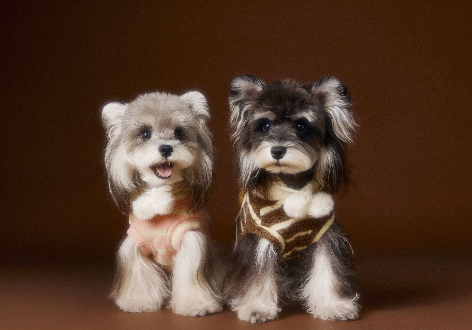 image_3AB40064-5532-419A-A811-4D7A184A1B45_1762617942