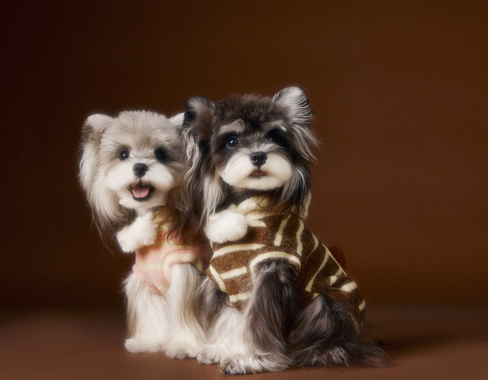 image_31EEB3FB-60FE-452D-A0AB-359D5E9E5062_1762617942