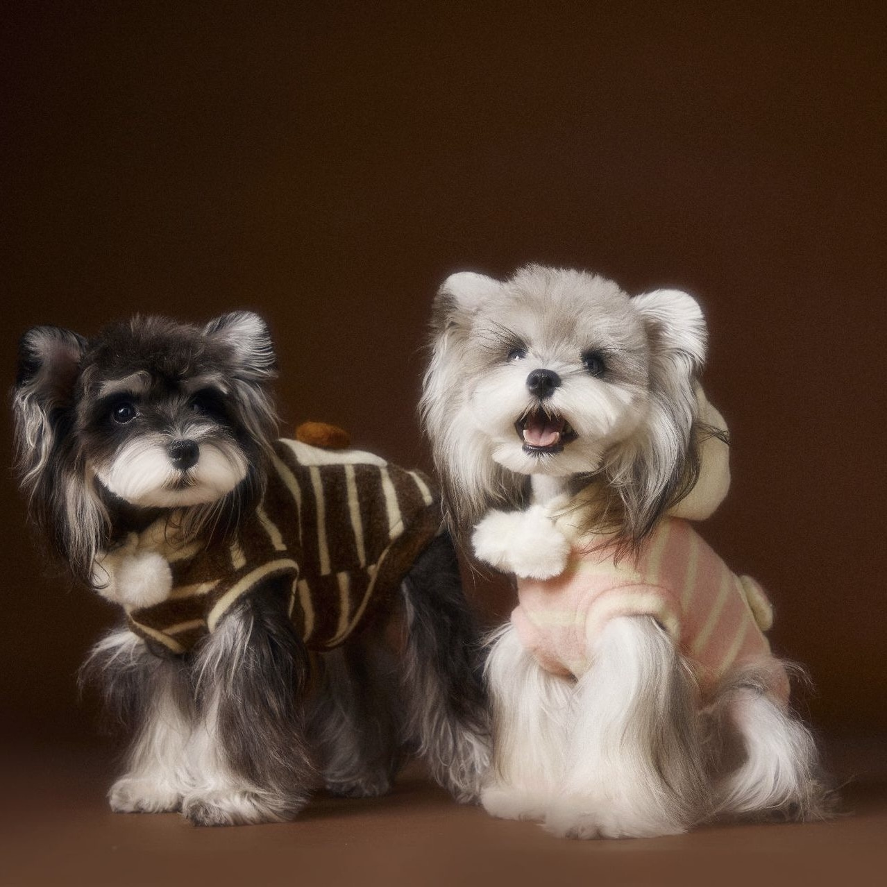 image_5949713B-E33B-40F6-BCA0-A9A605723EF8_1762617942